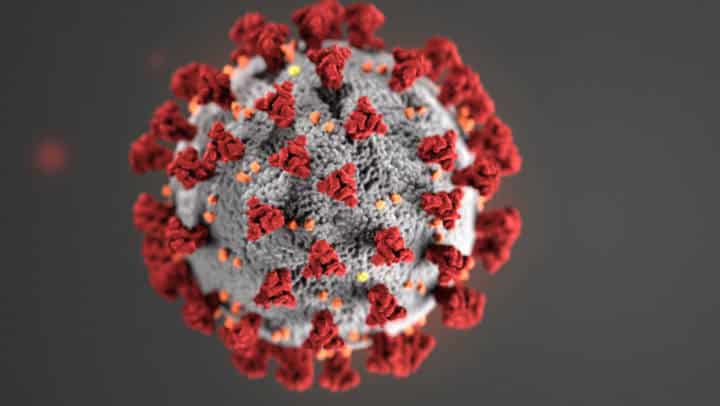 rendering of the COVID-19 virus