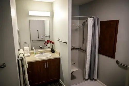 Orchard Pointe at Arrowhead apartment bath with roll-in shower