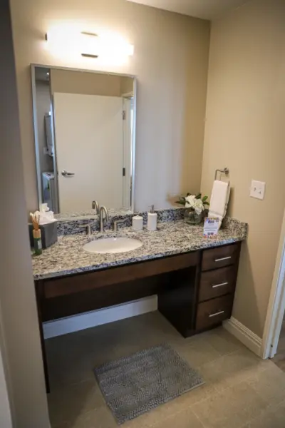 Orchard Point at Creek Valley independent living Apartment bath