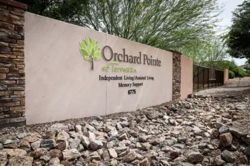 Orchard Pointe at Terrazza entrance sign